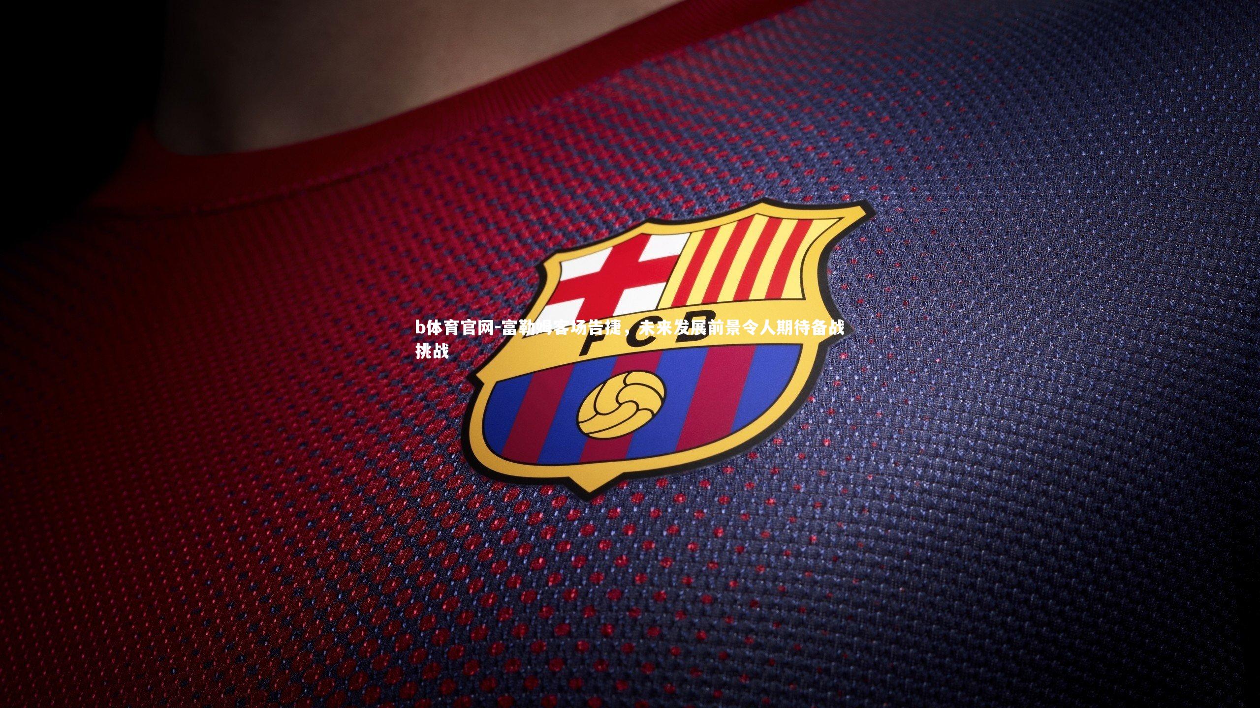 b体育官网-富勒姆客场告捷，未来发展前景令人期待备战挑战