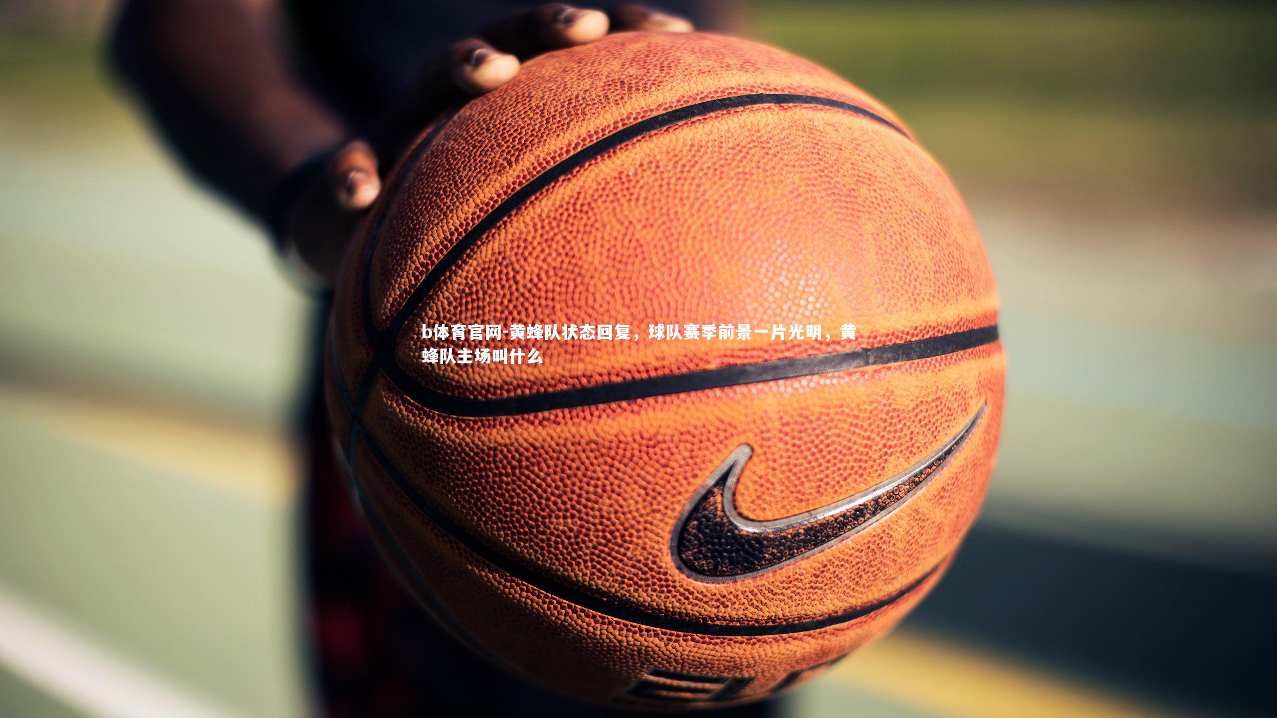 黄蜂队状态回复，球队赛季前景一片光明，黄蜂队主场叫什么